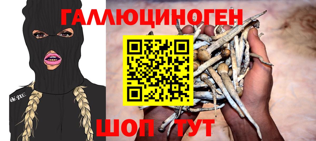 Галлюциногенные грибы Magic Shrooms Кузнецк