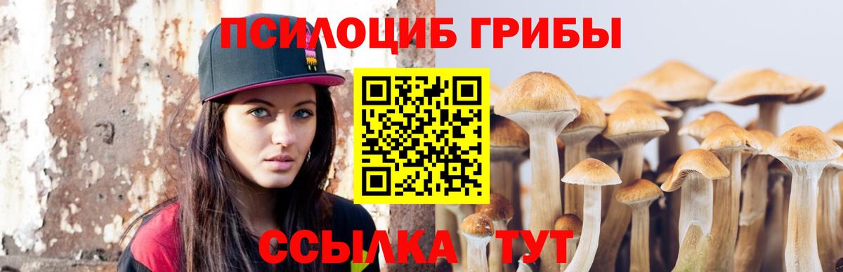 Псилоцибиновые грибы Magic Shrooms  Вход с VPN  Псилоцибиновые грибы прущие грибы  Кузнецк 